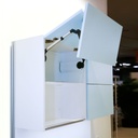 EX wall cabinet, bi-fold doors, 1 shelf, hygienic device, 600x690x320 mm