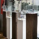 pied_muscat (1).webp