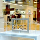 Telescopic rod with frame holder for shop windows, standing