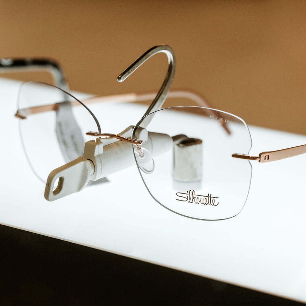 Single Lock frame holder, lockable, for horizontal plates, universal