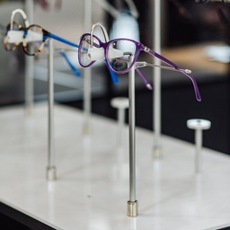 Telescopic rod with frame holder for shop windows, standing