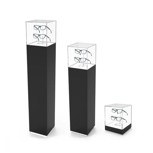 Pedestal, full corpus with acrylic box