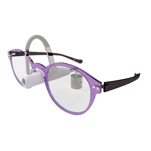 [SL.S lockable frame holder] Single Lock Brillenhalter, abschließbar, für horizontale Platten, universal