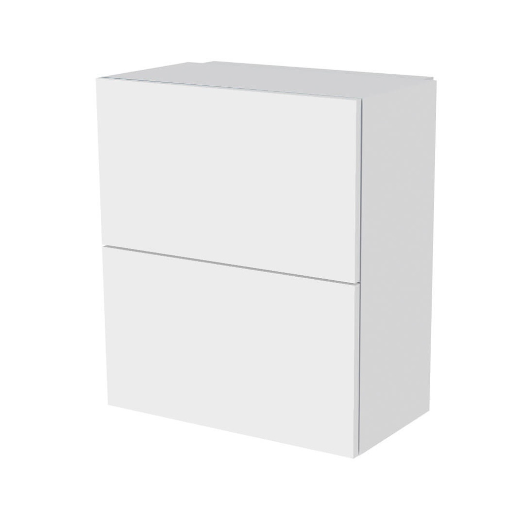 Armario mural EX, puertas abatibles dobles, 2 estantes, 600x690x320 mm