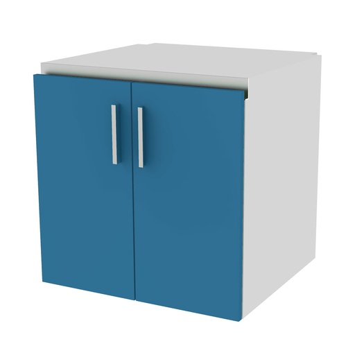 EX cabinet, 2 doors, 1 shelf, 600x600x580 mm